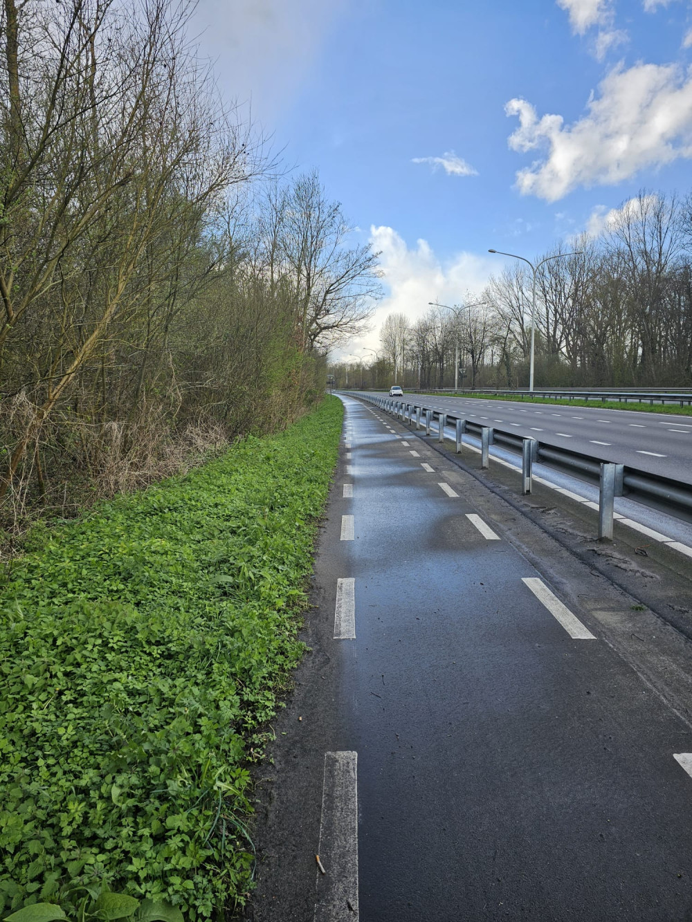 Plaatsing vangrail op Schuman, moordstrookje opgelost